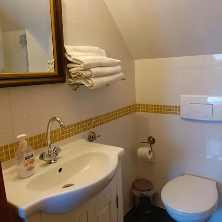 Dwór Pod Różami Nocleg ze śniadaniem 3*