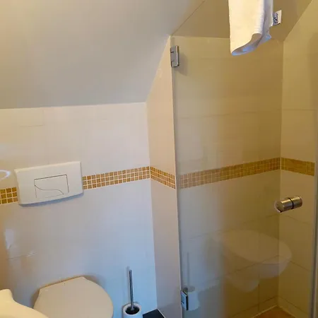Dwór Pod Różami 3* Smolec